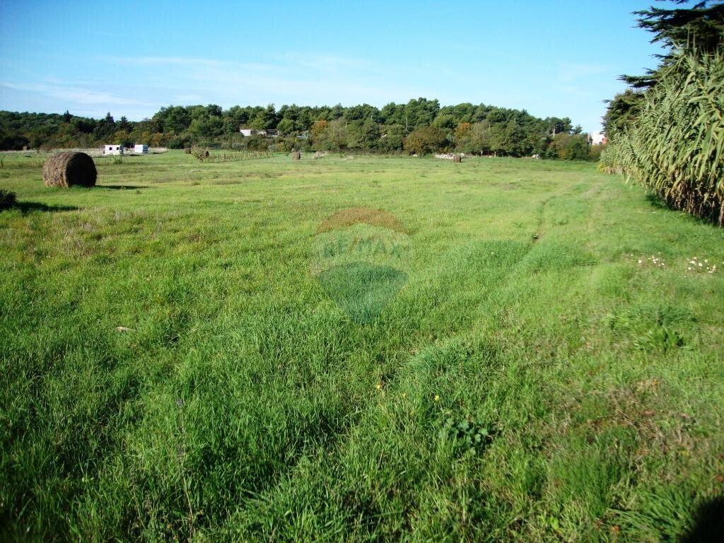Image 5410625 - 4