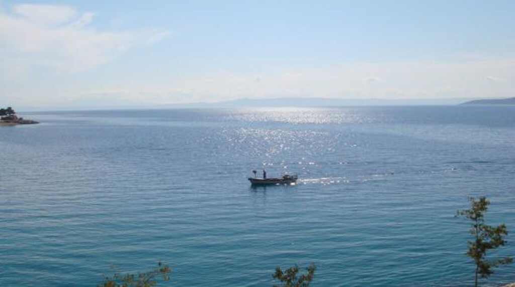 Image 3811426 - 16