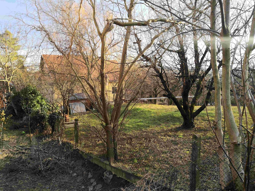 Image 14
