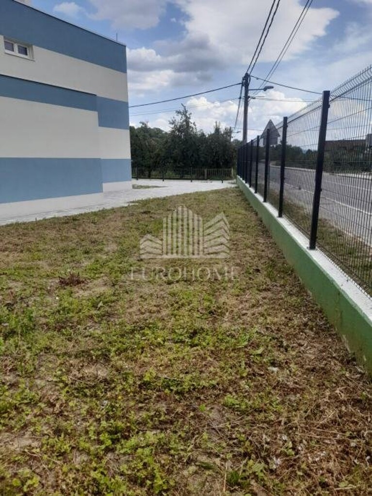 Image 11