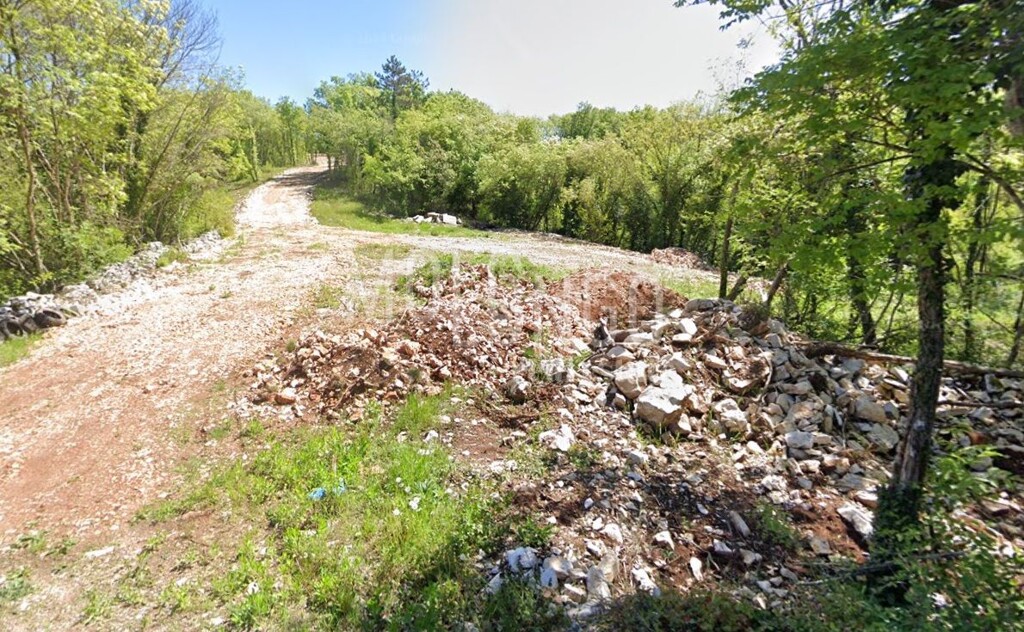 Image 6243070 - 1