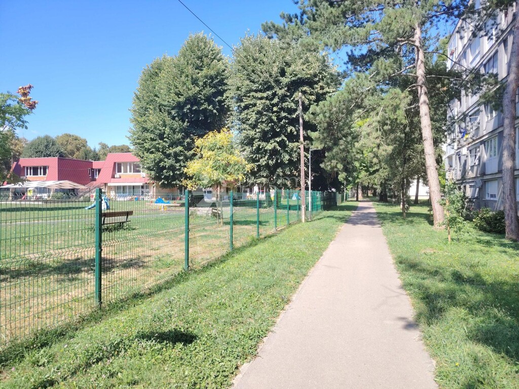 Image 15