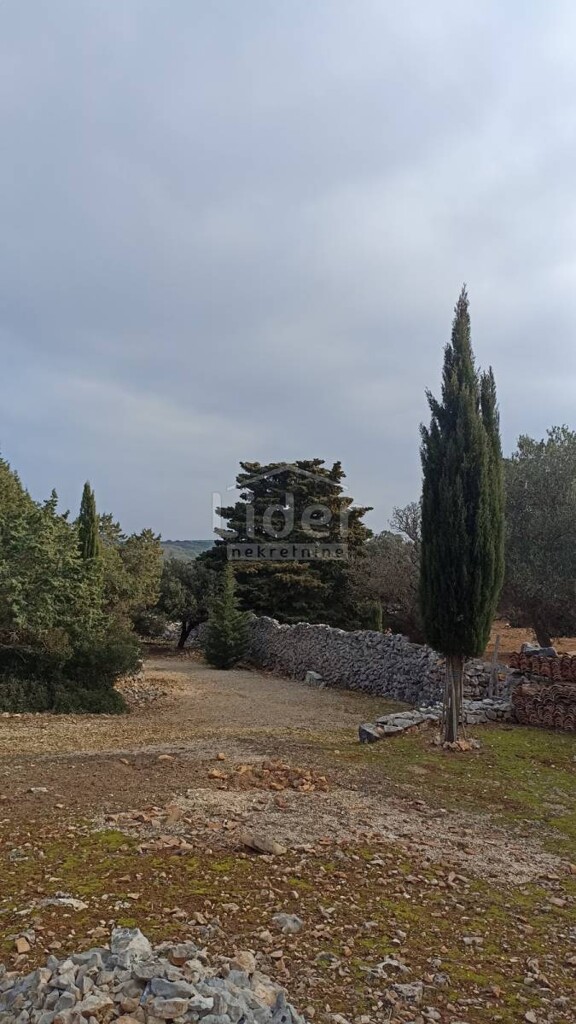 Image 14