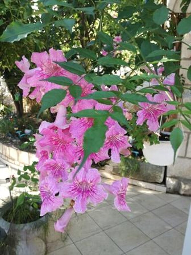 Image 3838601 - 16