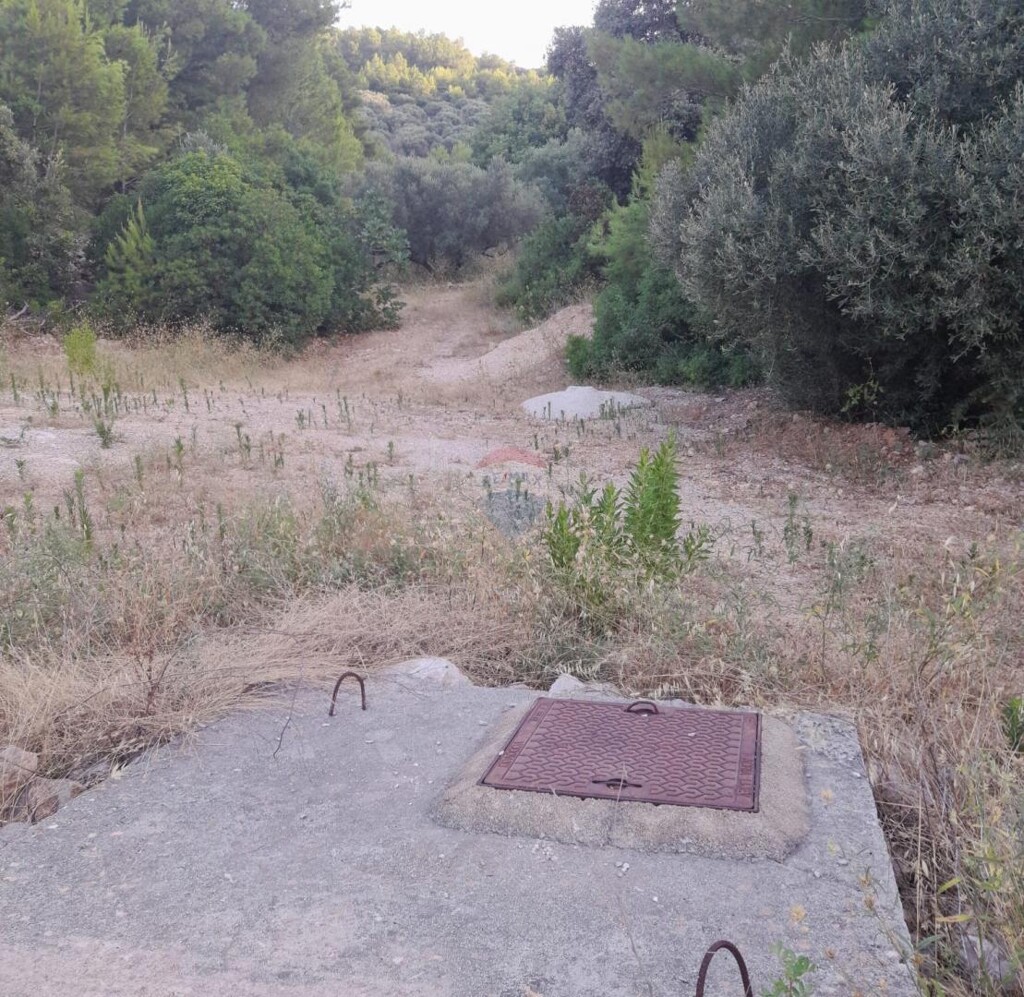 Image 6