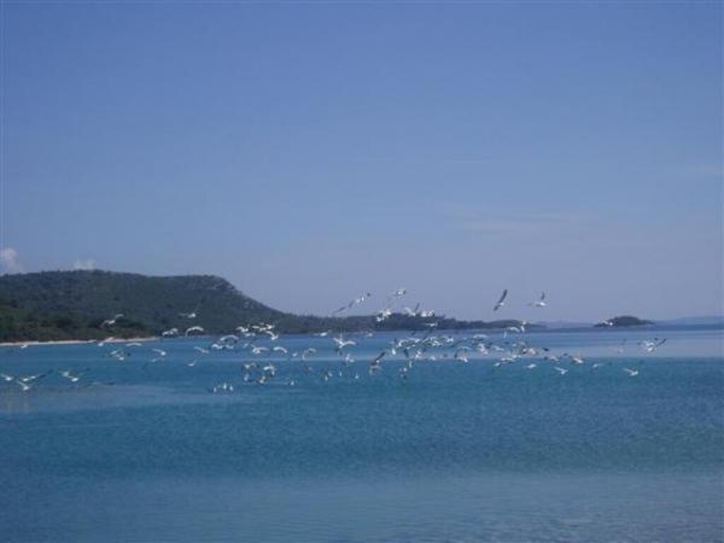 Image 3812054 - 15