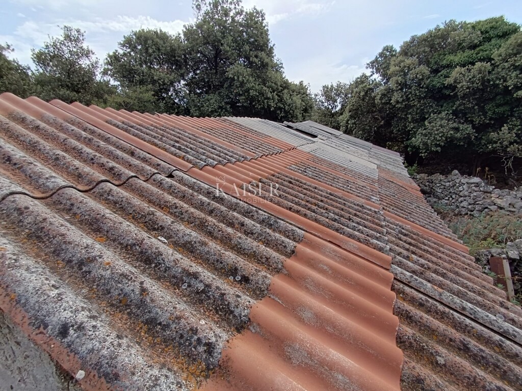 Image 9