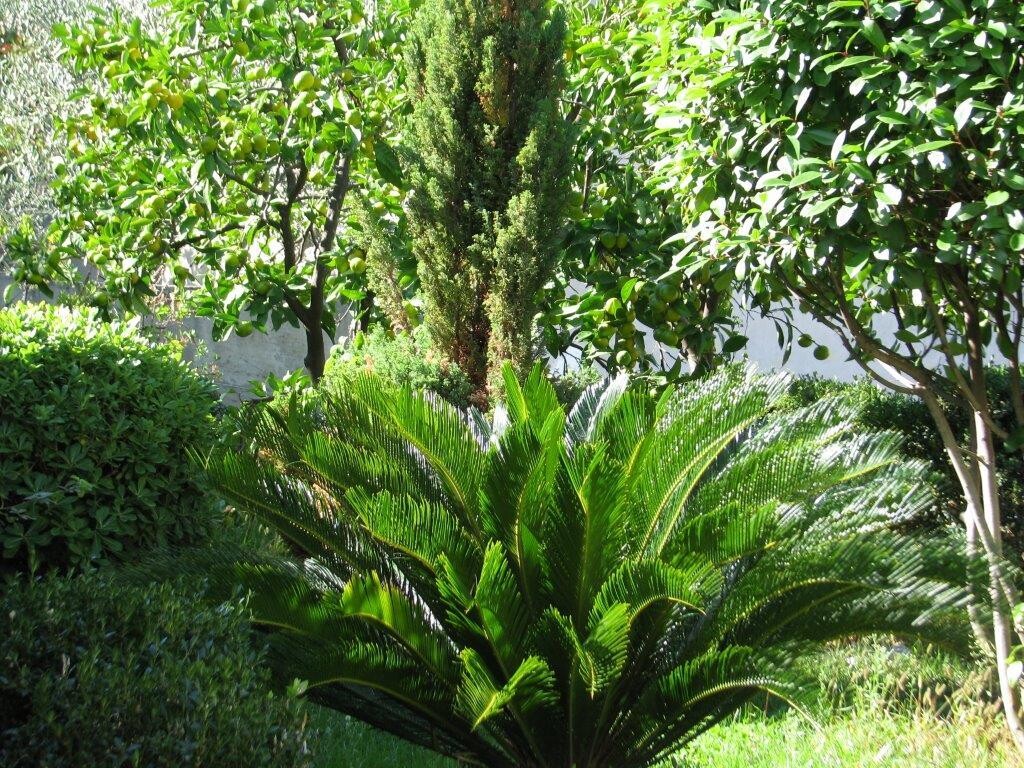Image 3838999 - 8
