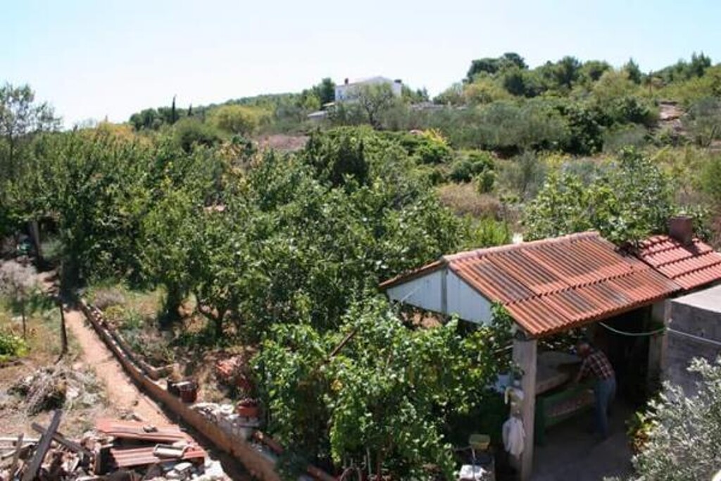 Image 3814172 - 3