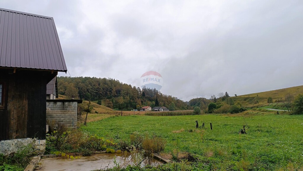 Image 6135858 - 8