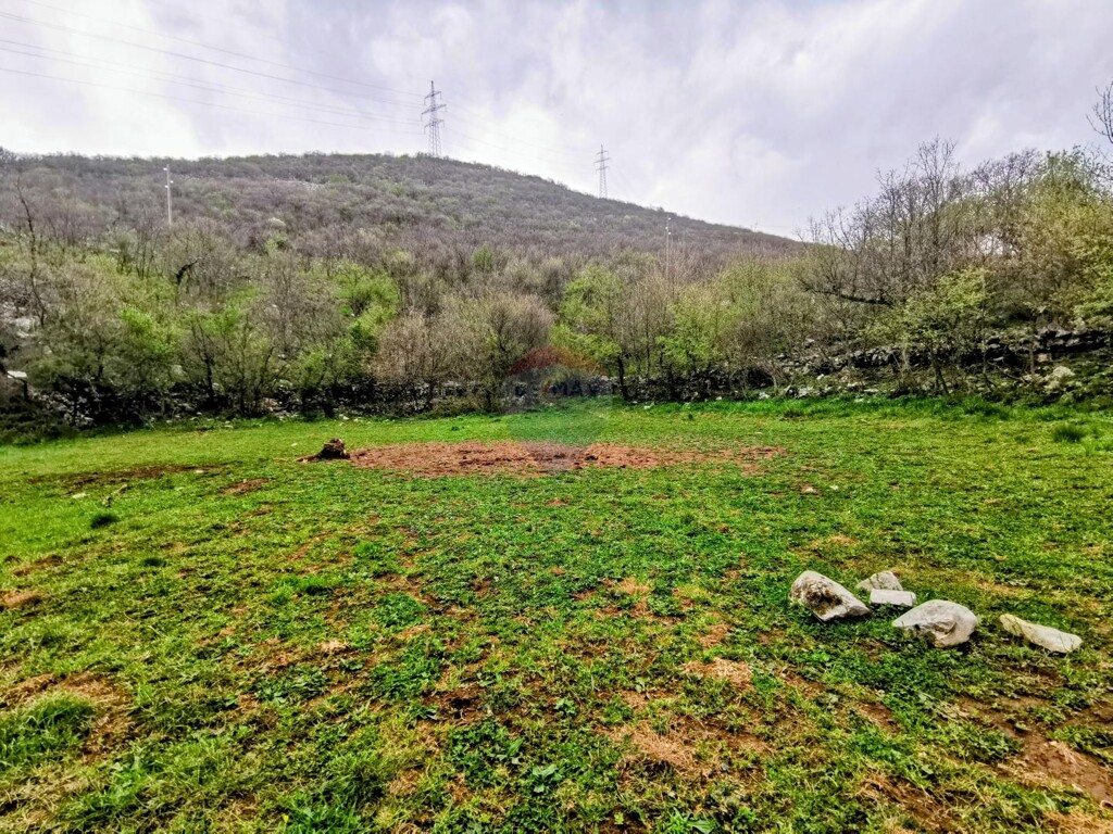 Image 5430056 - 7