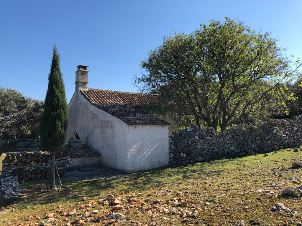 Image 20