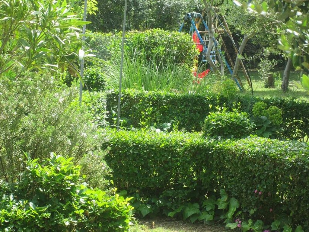 Image 24