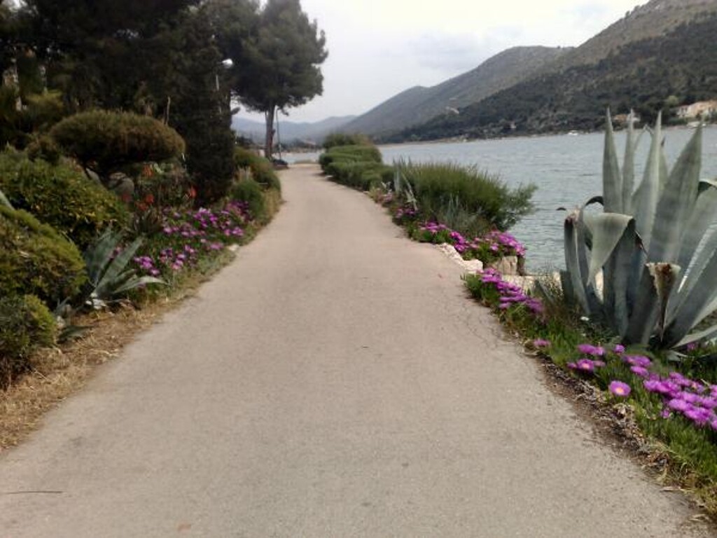 Image 3810644 - 21