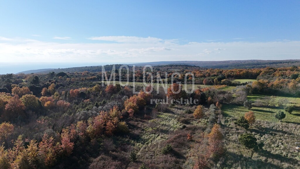 Image 6254499 - 5