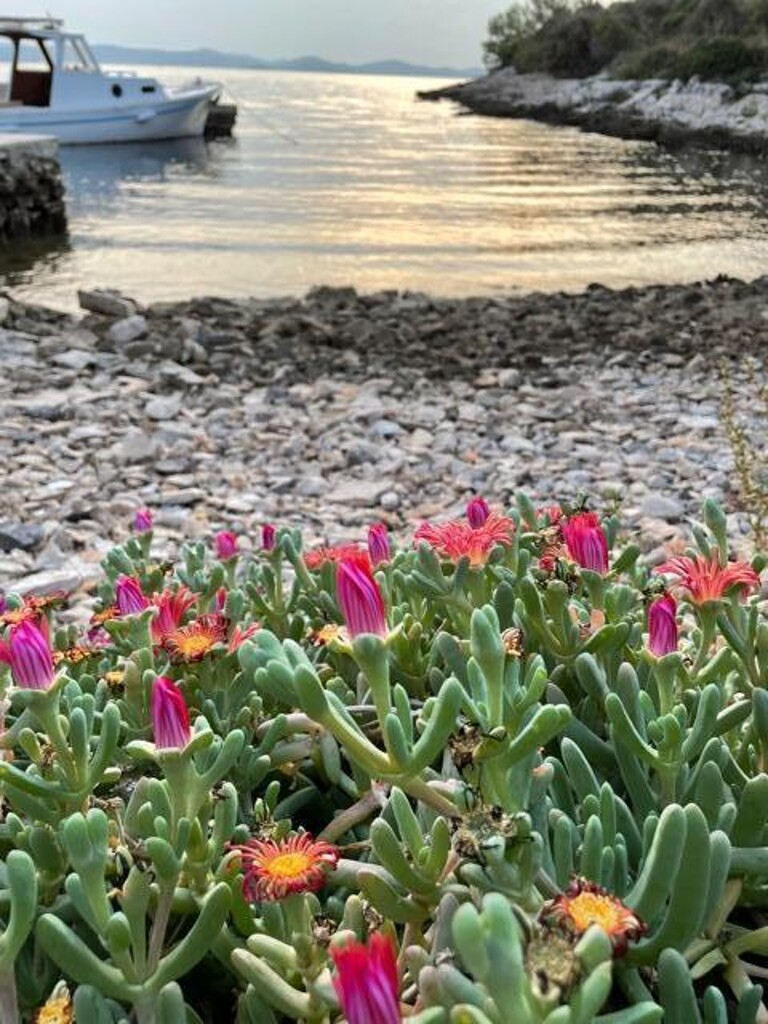 Image 32