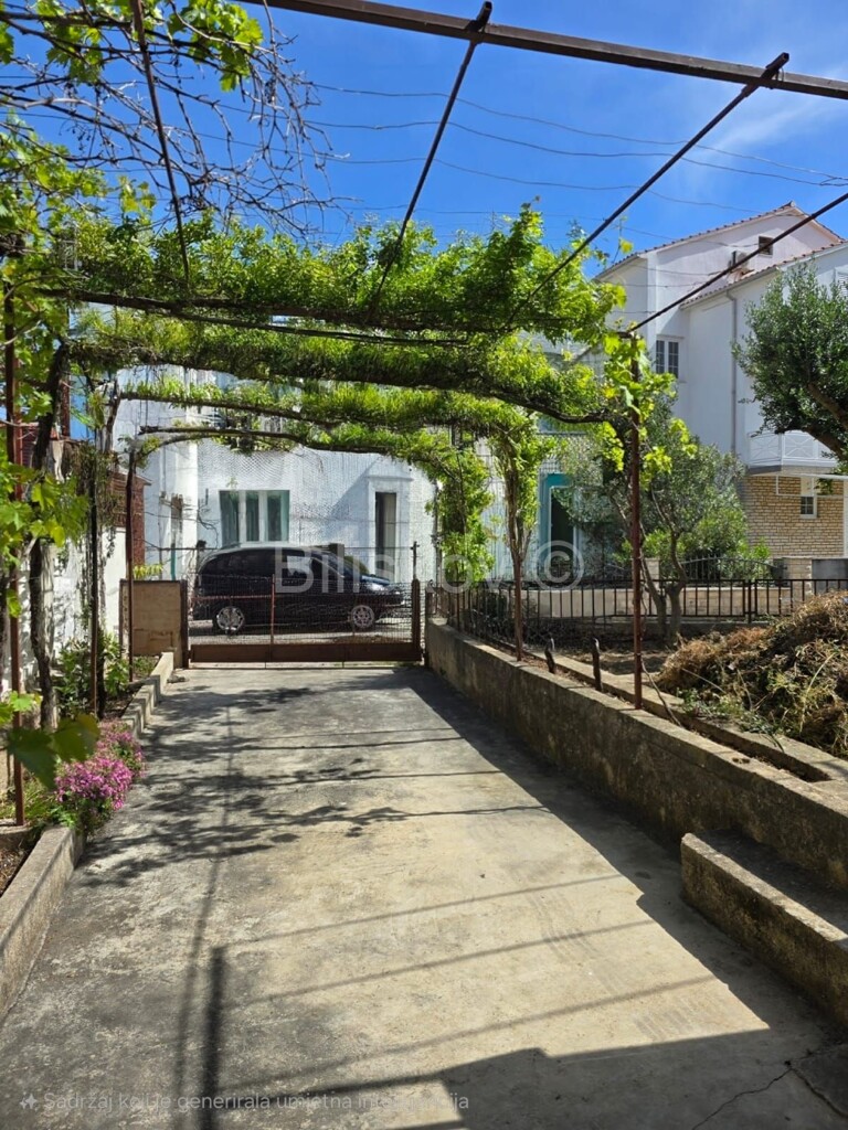 Image 6145037 - 4