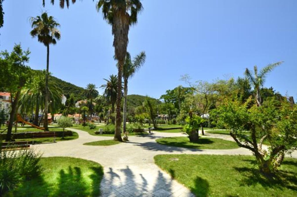 Image 3810965 - 20