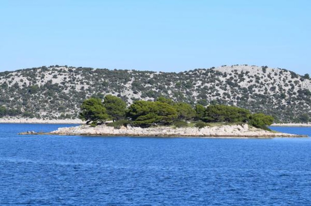 Image 3812600 - 22