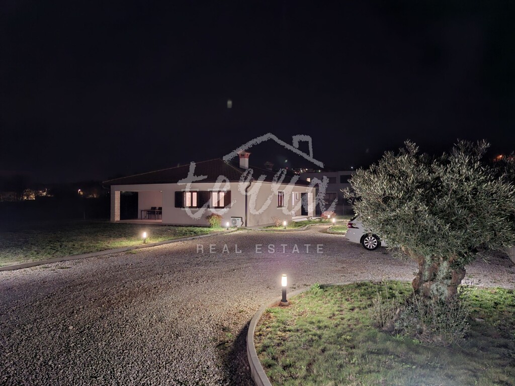 Image 13