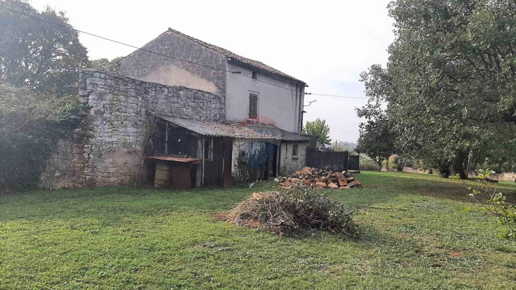 Image 15