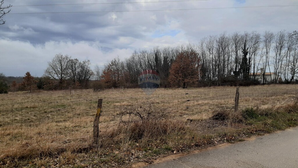 Image 5430237 - 3