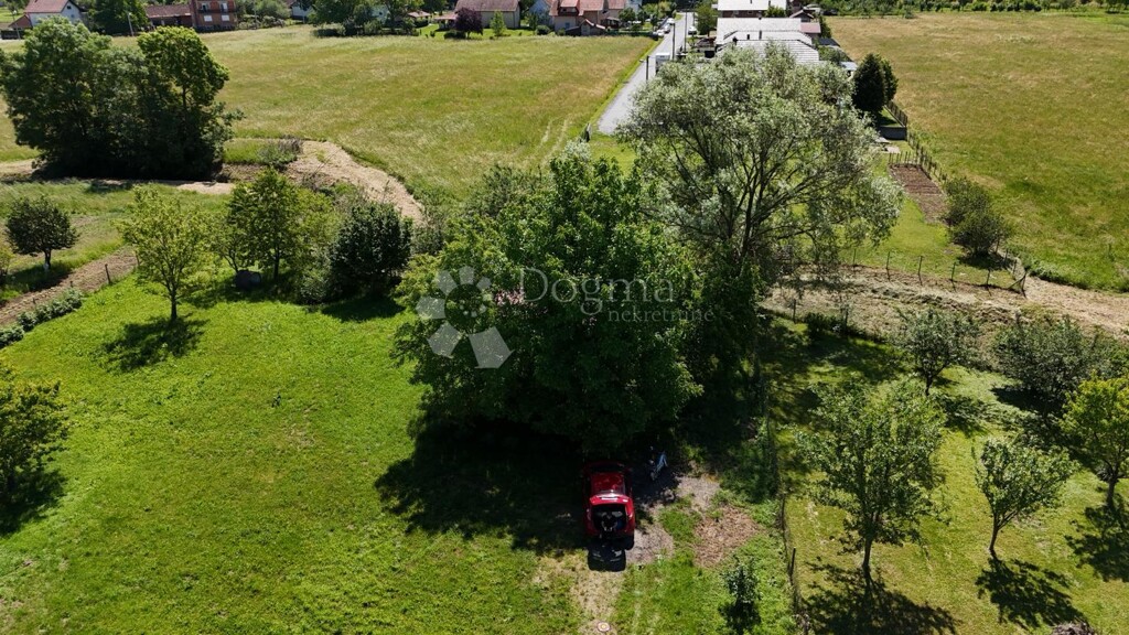 Image 13