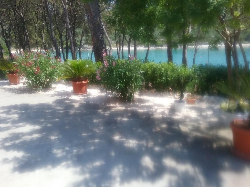 Image 3812751 - 3