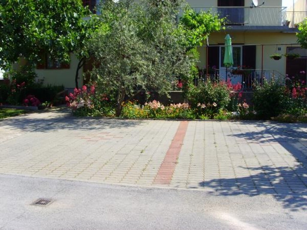 Image 3812459 - 4