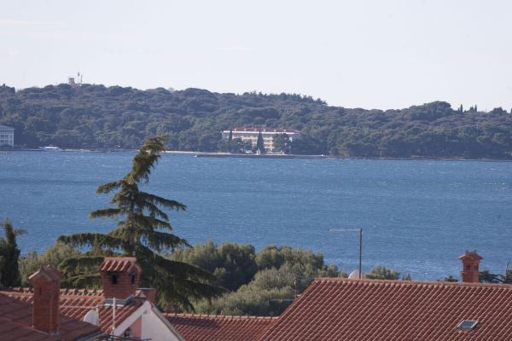 Image 3815118 - 13