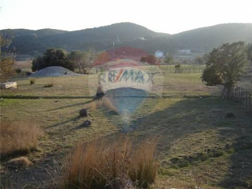 Image 5410447 - 1