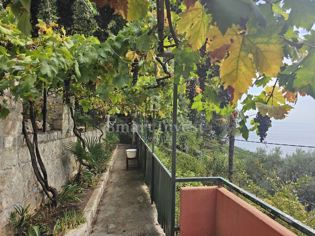Image 15