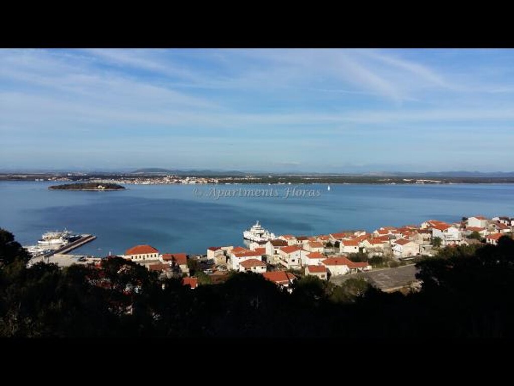 Image 3813259 - 5