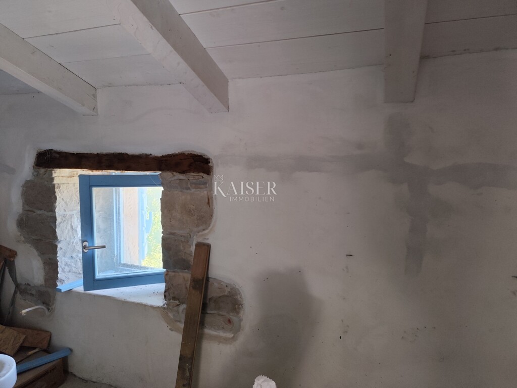 Image 21