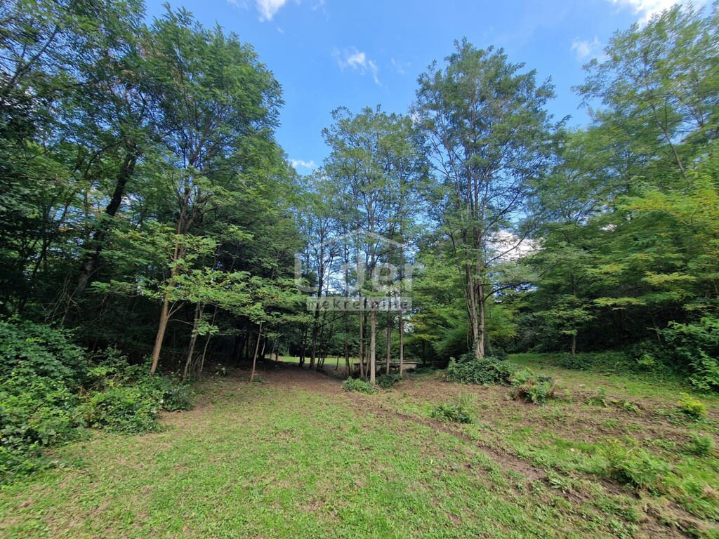 Image 6150386 - 15