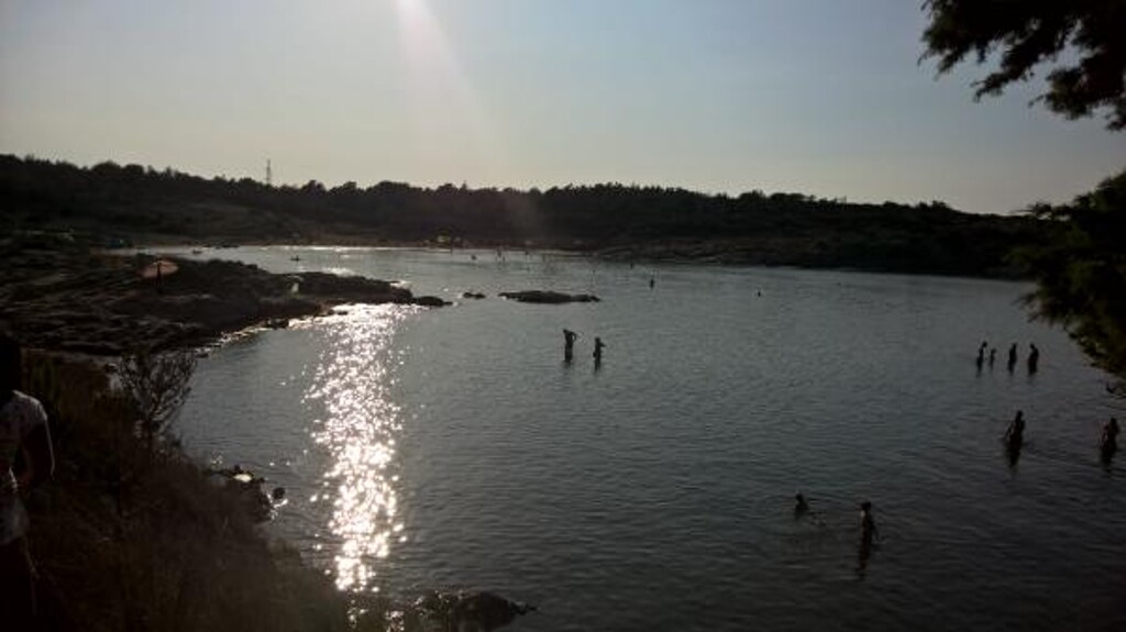 Image 3838644 - 8