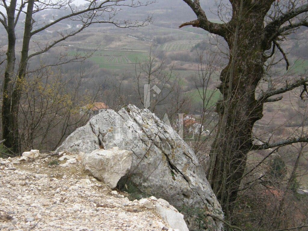 Image 9