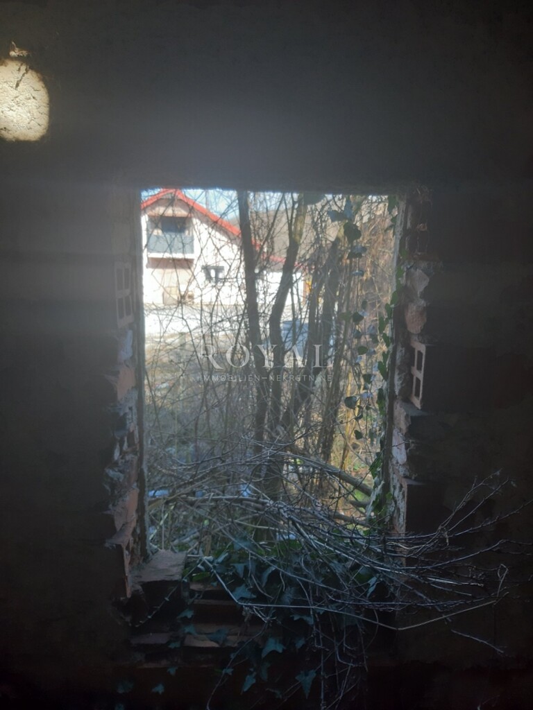 Image 21