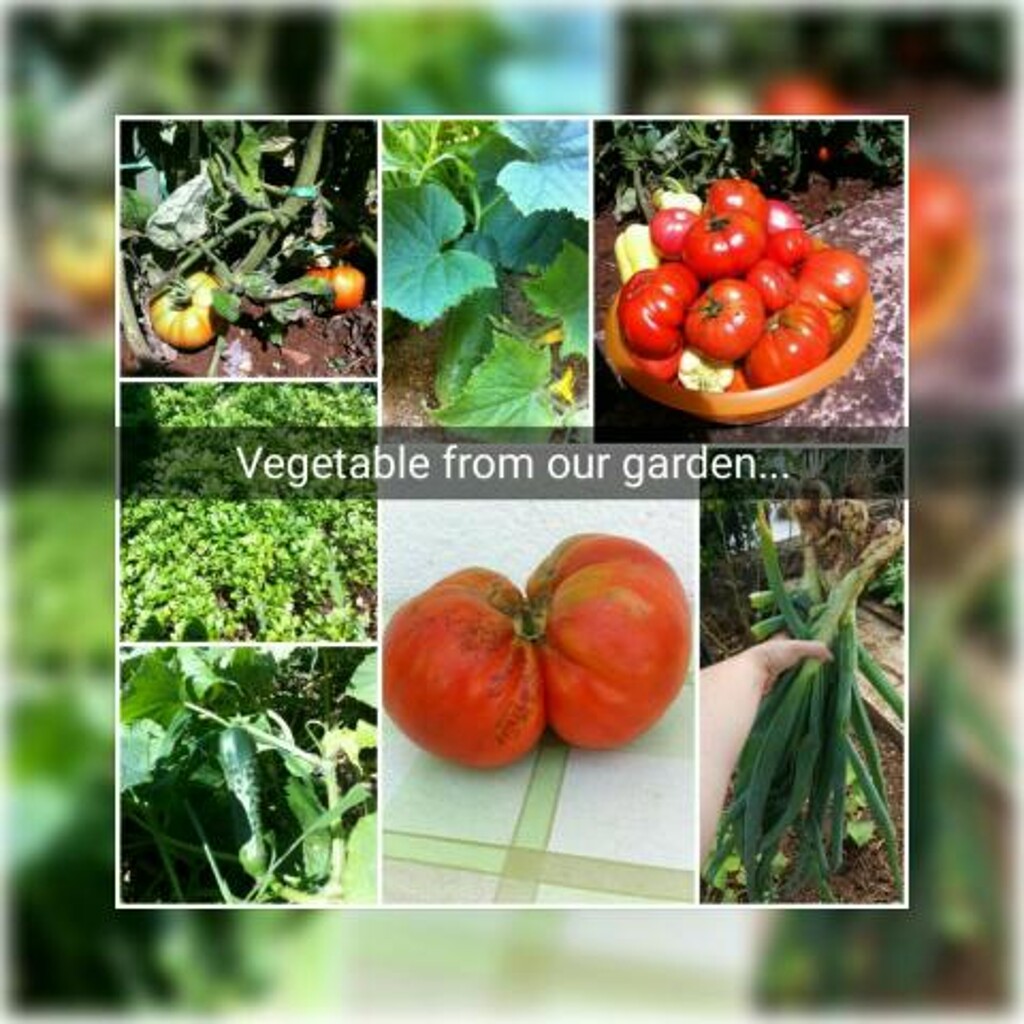 Image 3812779 - 11