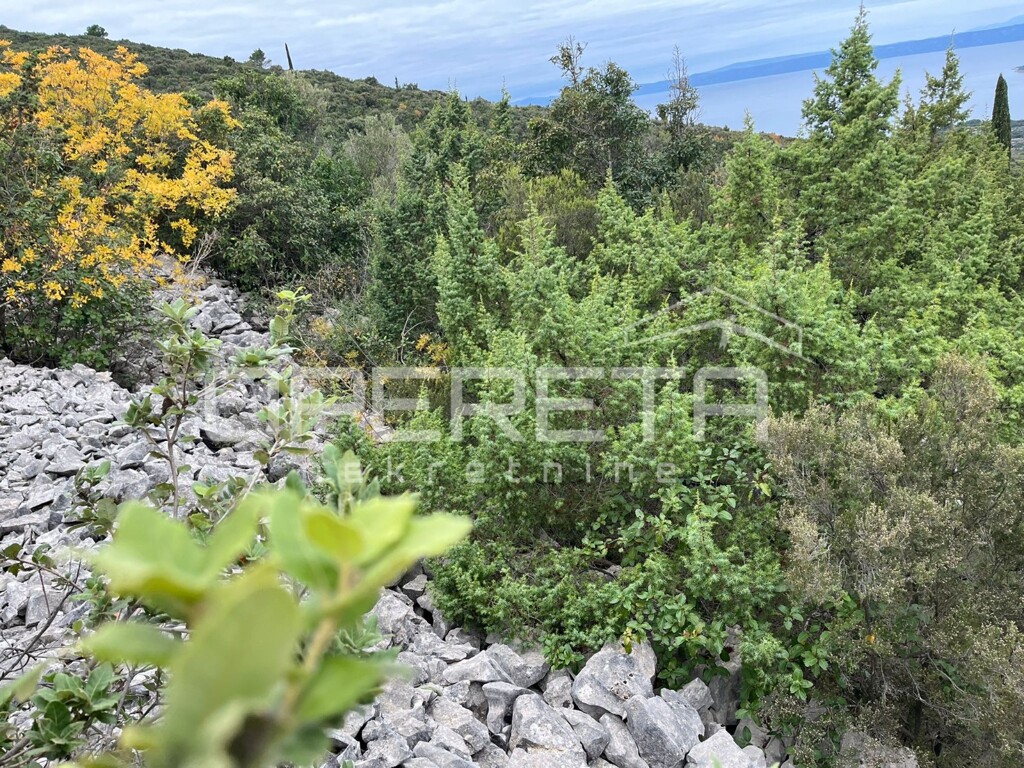 Image 13