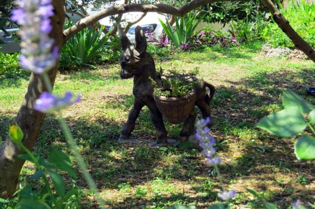 Image 3814897 - 8