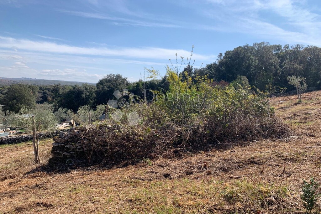 Image 12