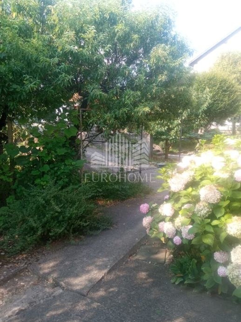Image 13