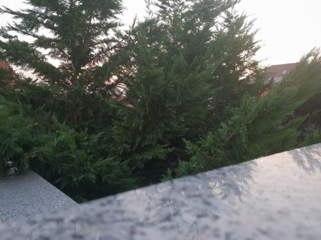 Image 3811044 - 11