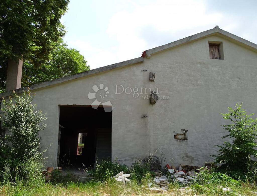 Image 21