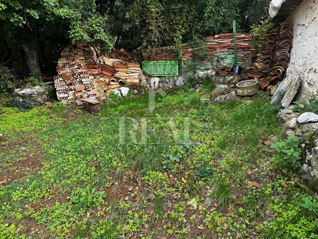 Image 16