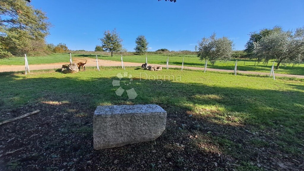 Image 23