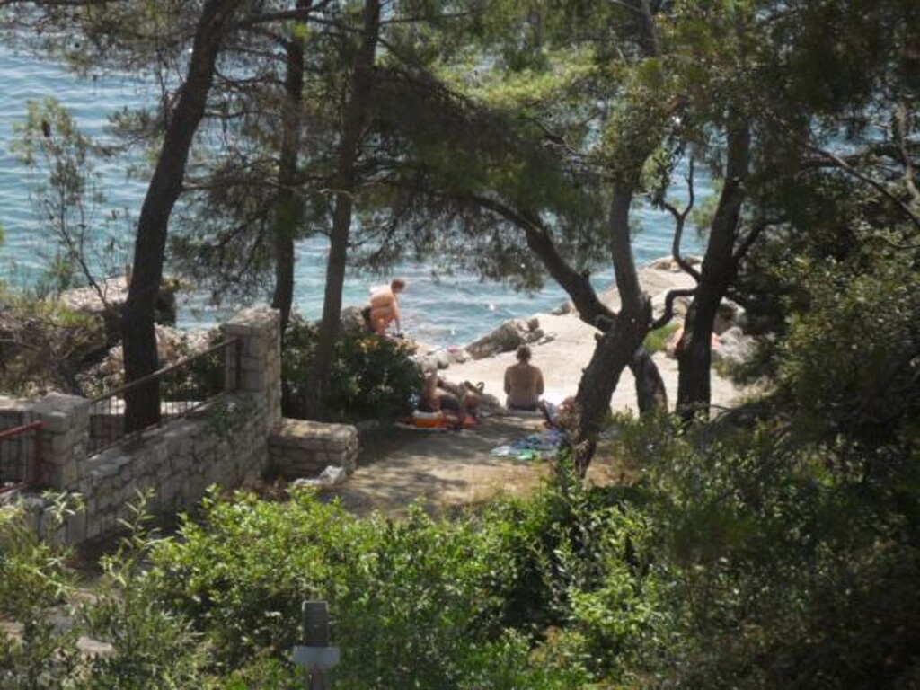 Image 3811908 - 7