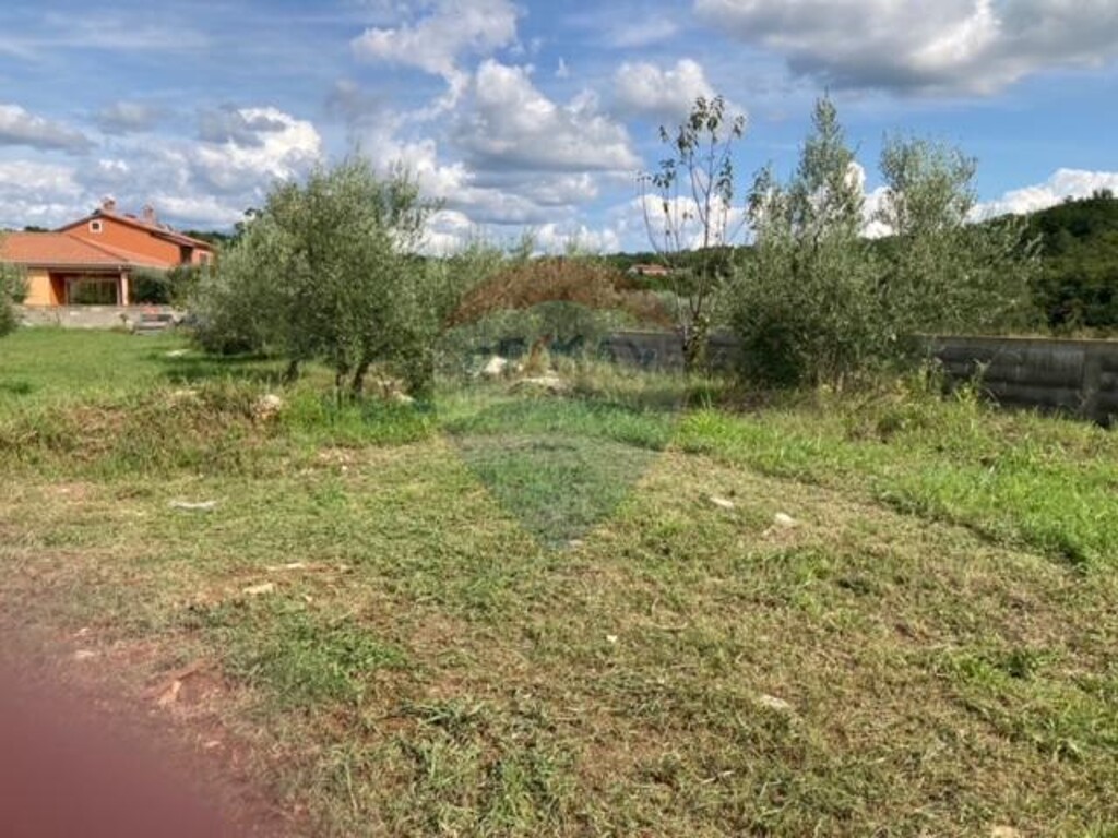 Image 25