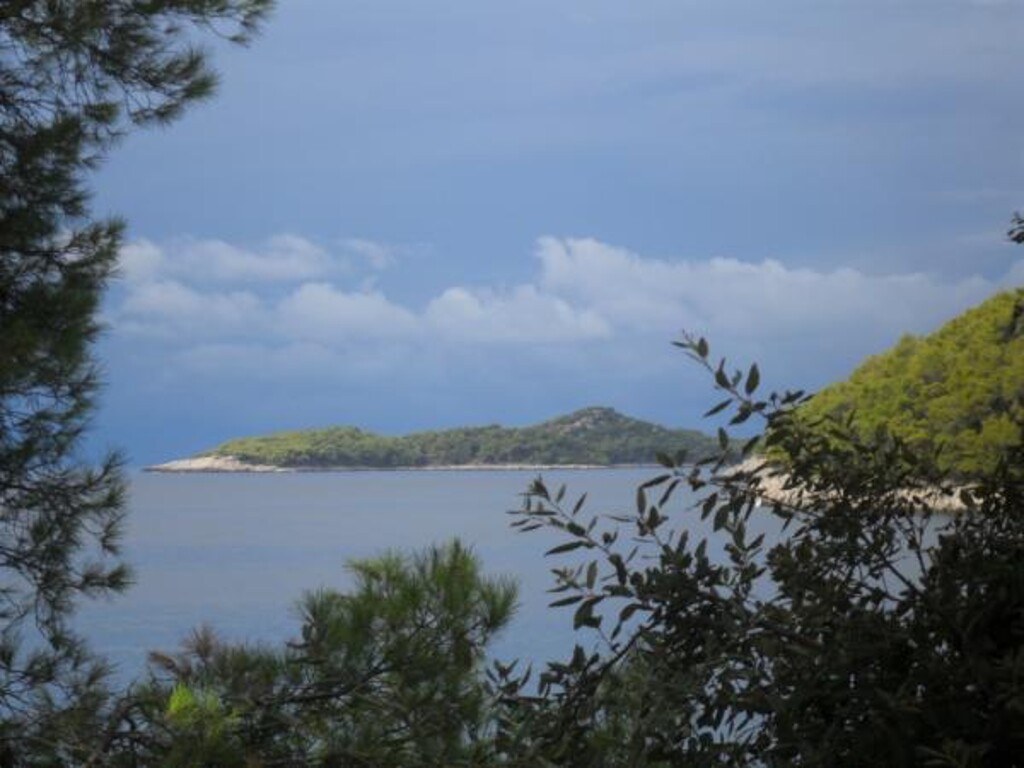 Image 3811819 - 7